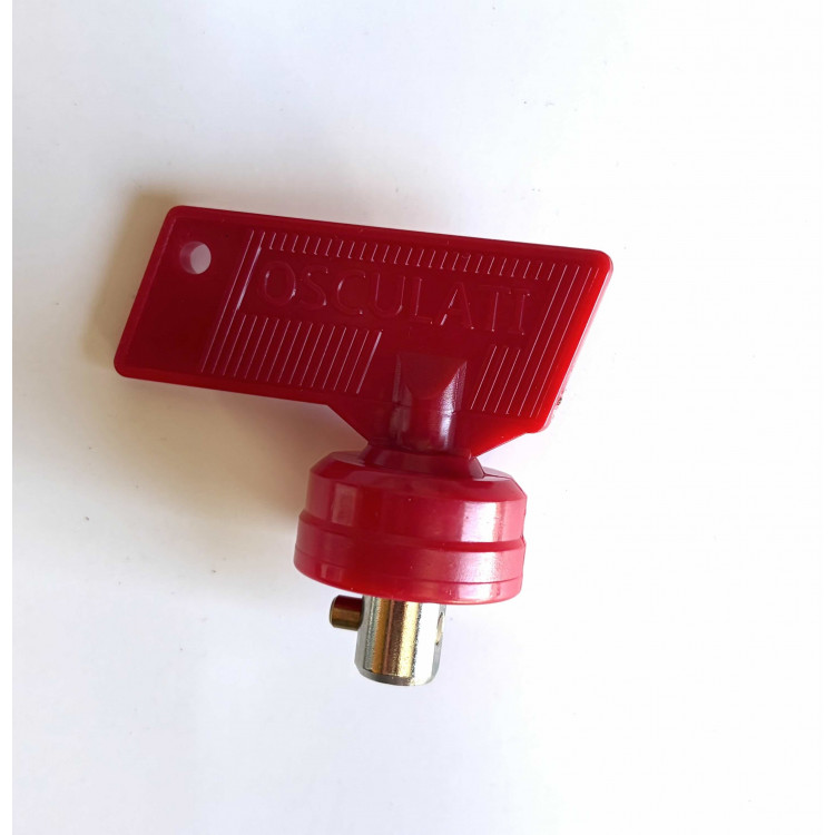 CLE DE RECHANGE POUR COUPE BATTERIE EASY